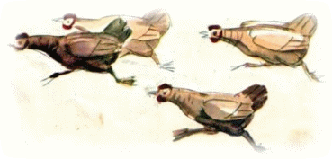 Picture 38