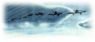 Picture 40