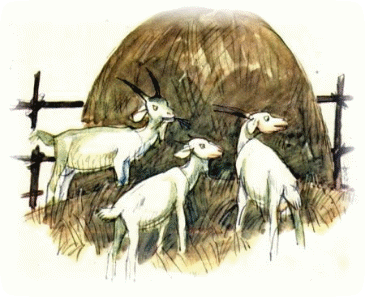 Picture 43