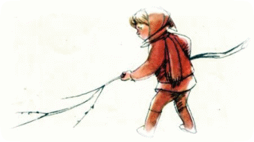 Picture 44