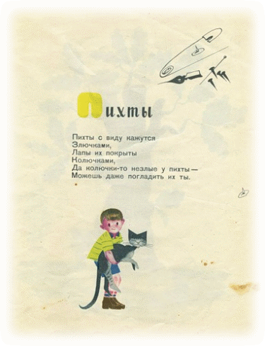 Picture 19