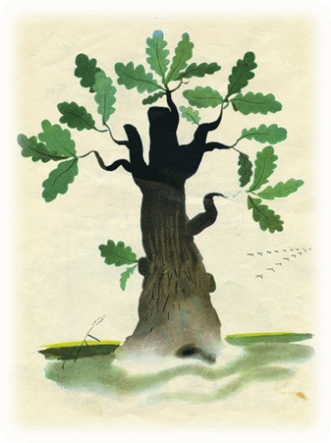 Picture 20