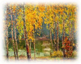 Picture 26
