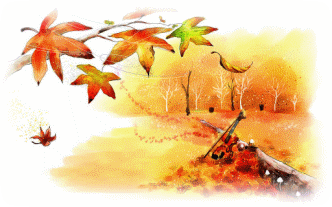 Picture 29