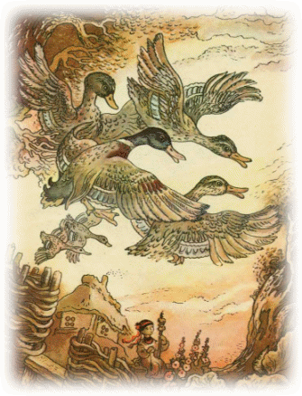 Picture 49