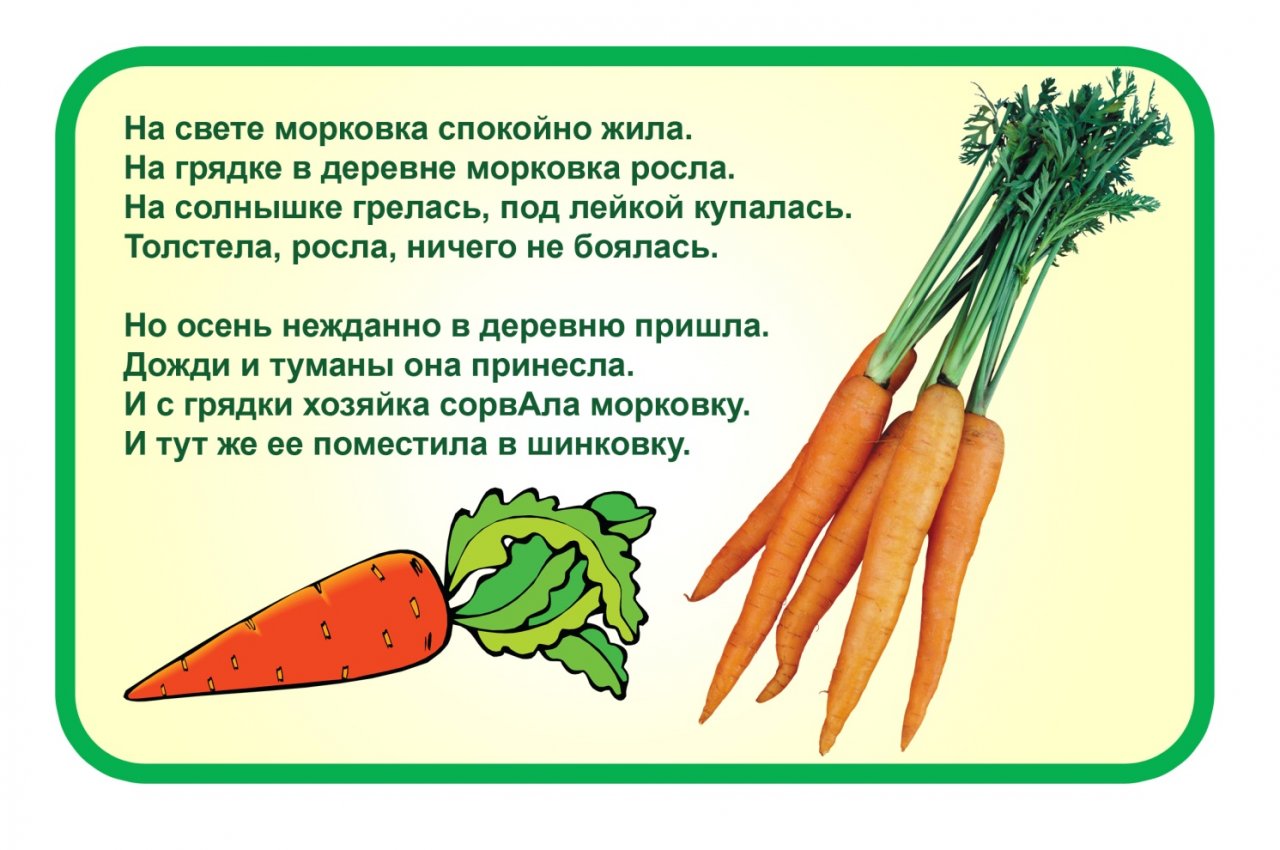 День моркови в детском саду. Стихи про овощи. Стихотворение про морковку. Детские стихи про морковь. Стих про морковь для детей.