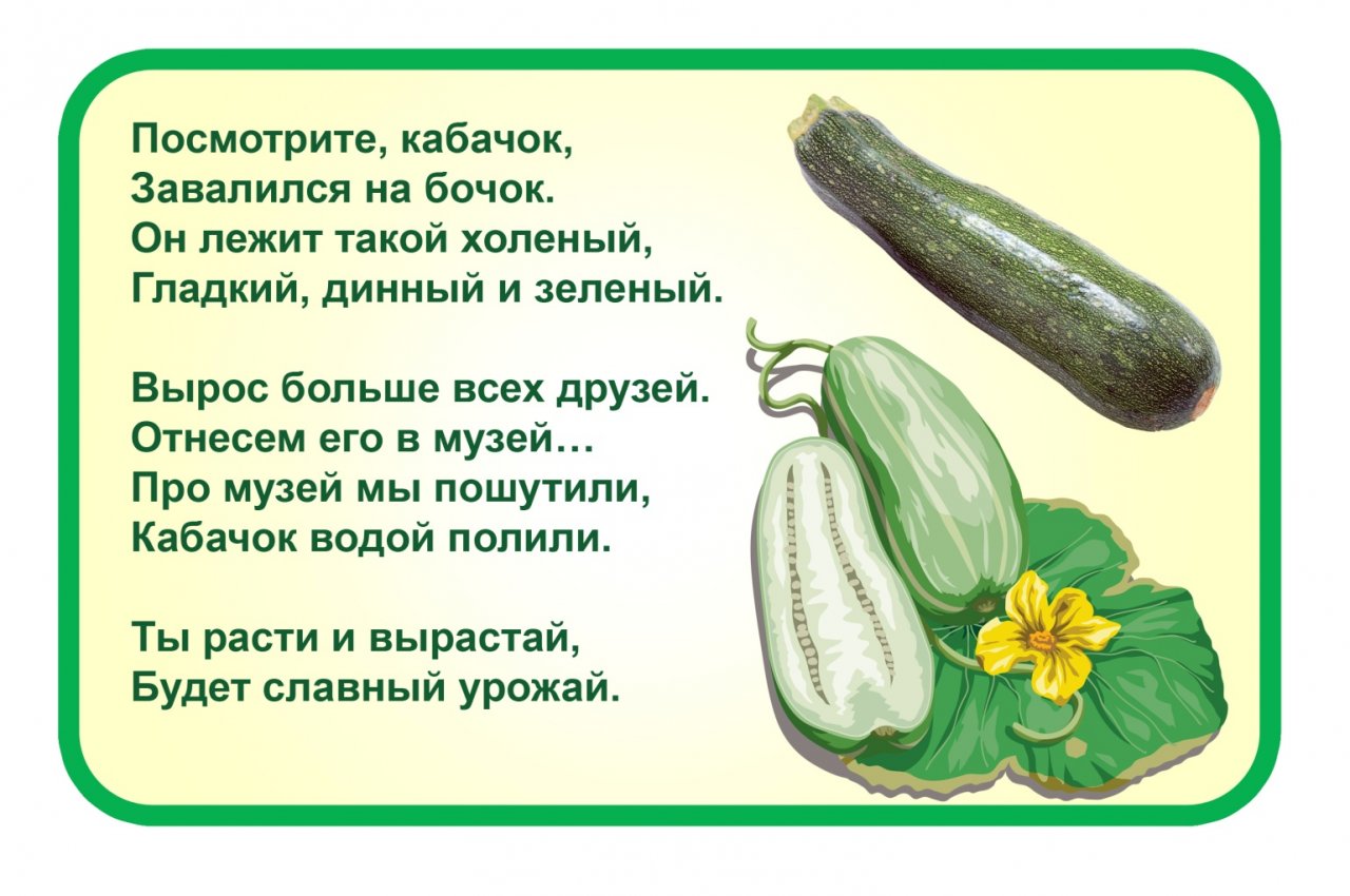 Стихи про овощи