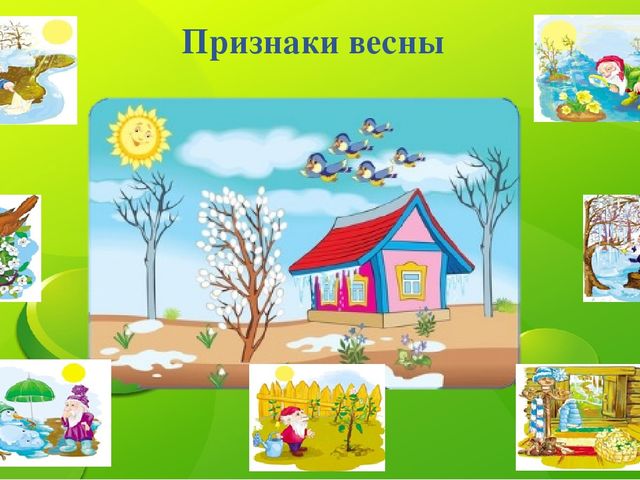 Обучающая дидактическая игра по познавательному развитию "А мы пойдем в весенний лес"