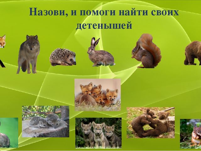 Обучающая дидактическая игра по познавательному развитию "А мы пойдем в весенний лес"