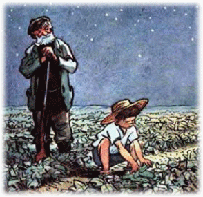 Picture 39
