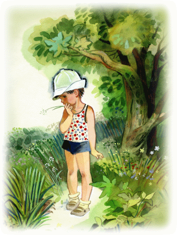 Picture 31