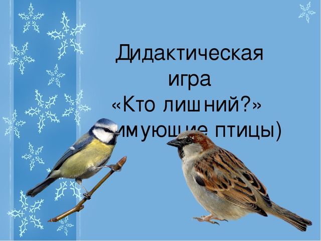 Интерактивная игра "Кто лишний?" (зимующие птицы)