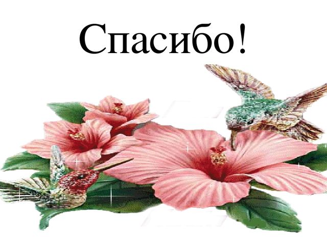 Презентация-Фотоотчёт "Наш любимый детский сад"