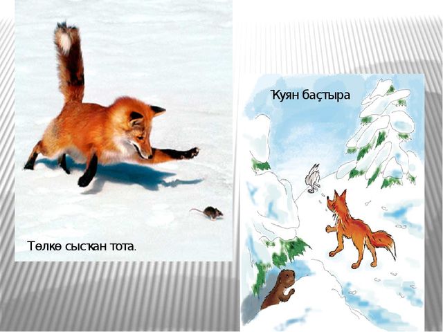 Презентация по развитию речи на тему "Төлкө беҙҙә ҡунаҡта"