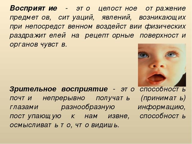 Развитие зрительного восприятия старших дошкольников