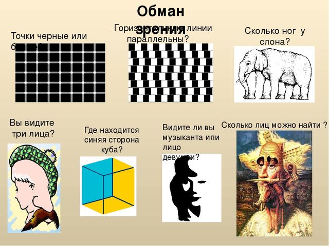 Развитие зрительного восприятия старших дошкольников