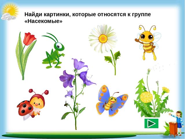 Сборник познавательных заданий "Познаём мир"