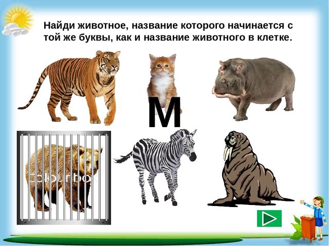 Сборник познавательных заданий "Познаём мир"