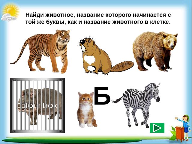 Сборник познавательных заданий "Познаём мир"