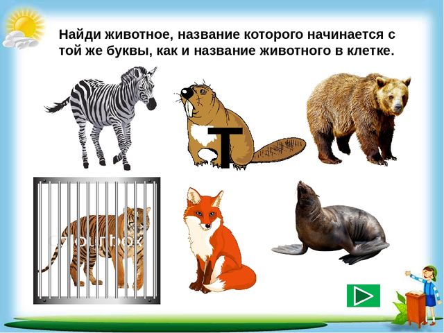 Сборник познавательных заданий "Познаём мир"