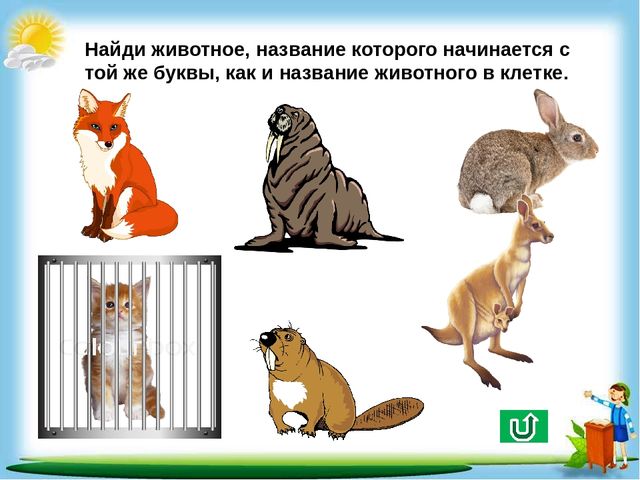 Сборник познавательных заданий "Познаём мир"