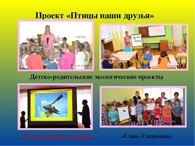 Презентация на тему: " Веб-Портфолио"
