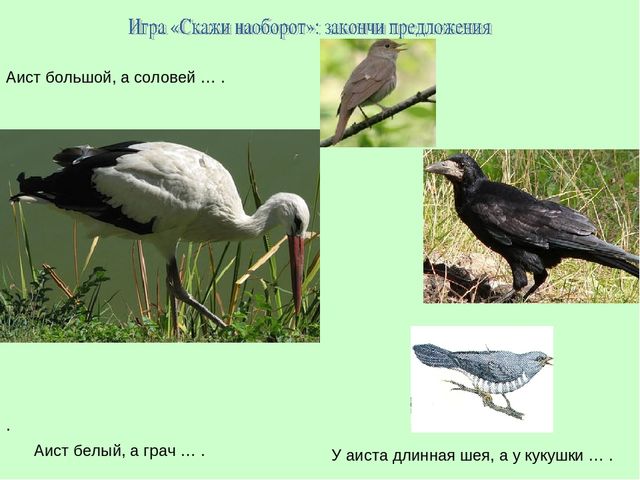 Презентация для детей младшей группы перелетные птицы