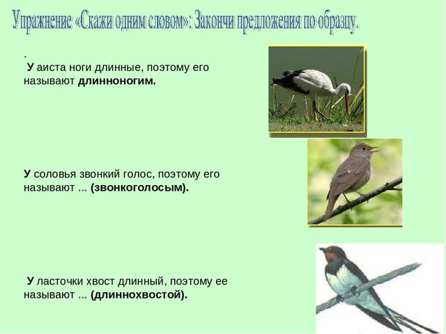 Презентация для детей младшей группы перелетные птицы