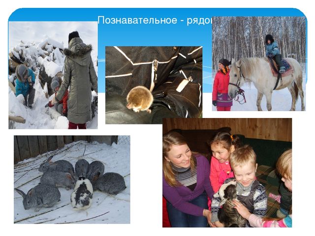 Презентация на тему Взаимодействие с семьёй