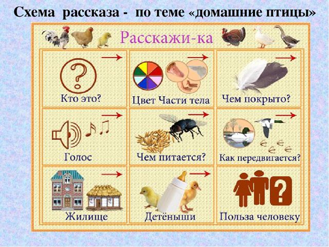 «Особенности развития связной речи детей в игровой деятельности в условиях реализации ФГОС»