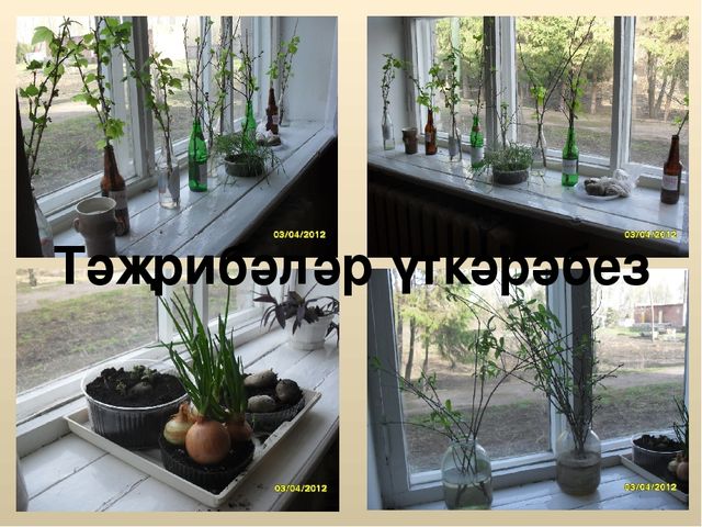 Презентация на тему "Предшкольная группа"