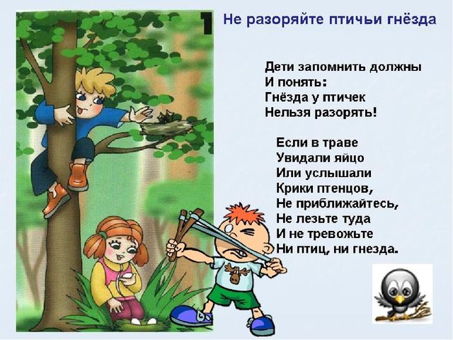 Презинтация на тему: "Земля-наш общий дом"