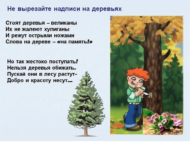 Презинтация на тему: "Земля-наш общий дом"