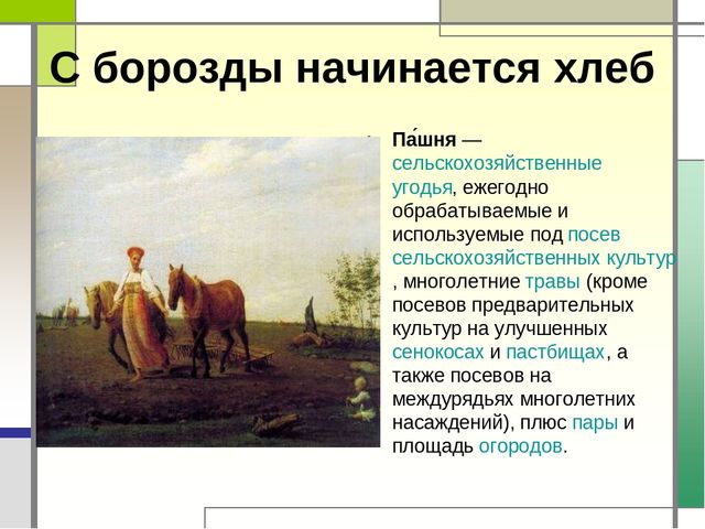 Презентация "Хлеб всему голова"