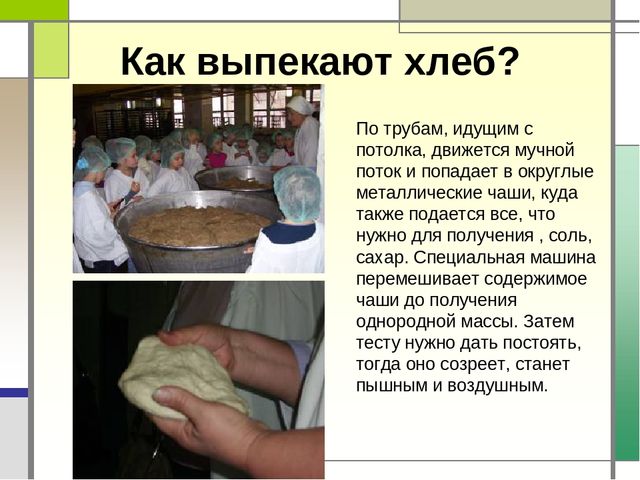 Презентация "Хлеб всему голова"
