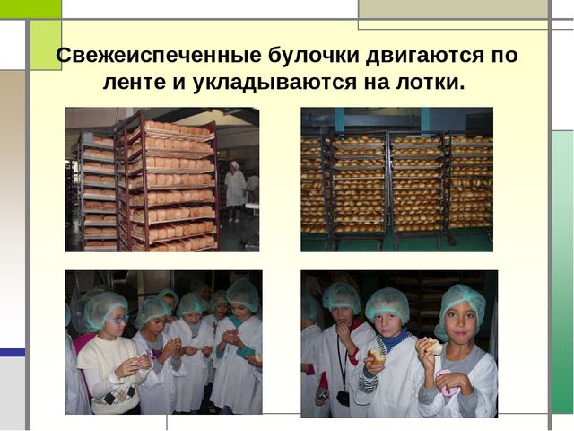 Презентация "Хлеб всему голова"