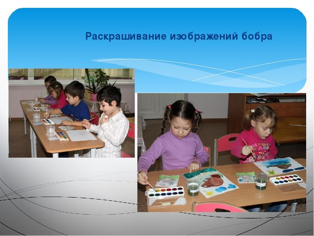 Занятие на тему: "Эти удивительные животные - бобры"