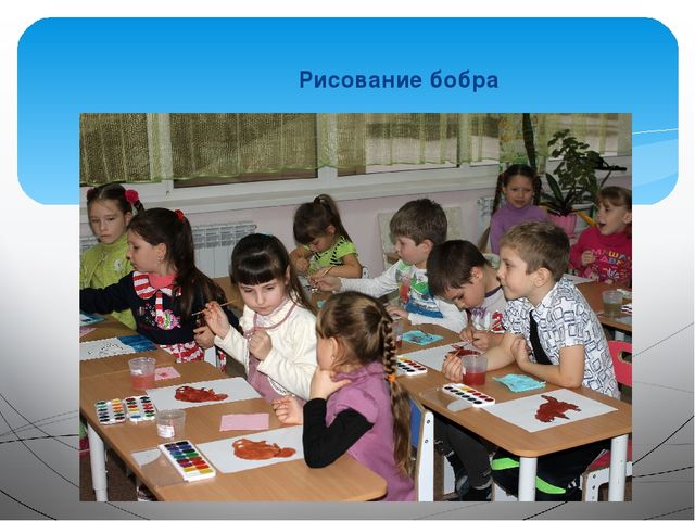 Занятие на тему: "Эти удивительные животные - бобры"