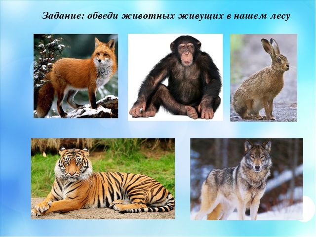 Презентация по краеведение "Мой край родной Мендыкара"
