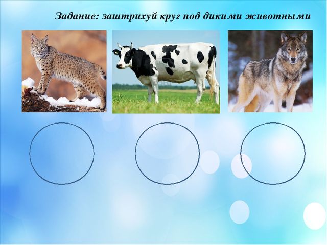 Презентация по краеведение "Мой край родной Мендыкара"