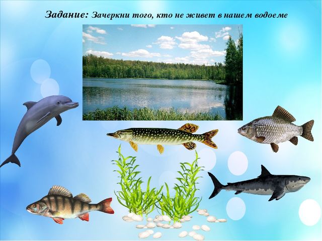 Презентация по краеведение "Мой край родной Мендыкара"