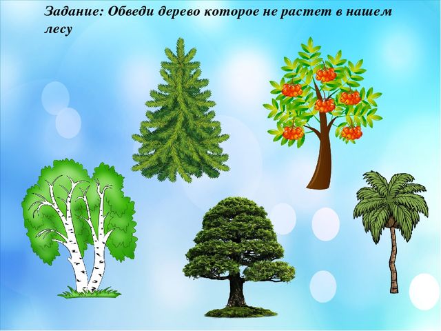 Презентация по краеведение "Мой край родной Мендыкара"
