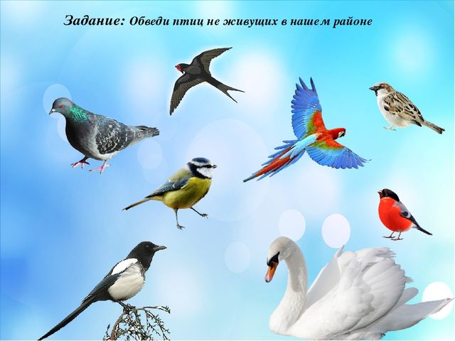 Презентация по краеведение "Мой край родной Мендыкара"