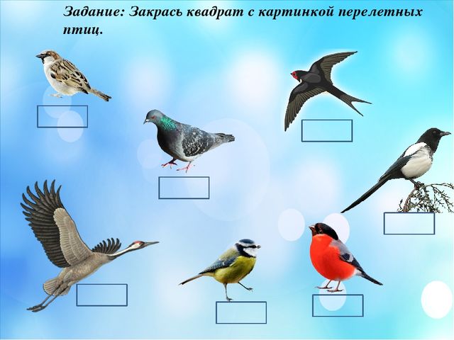 Презентация по краеведение "Мой край родной Мендыкара"