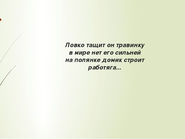 Загадки к сказке В.Сутеева "Грибок-теремок".