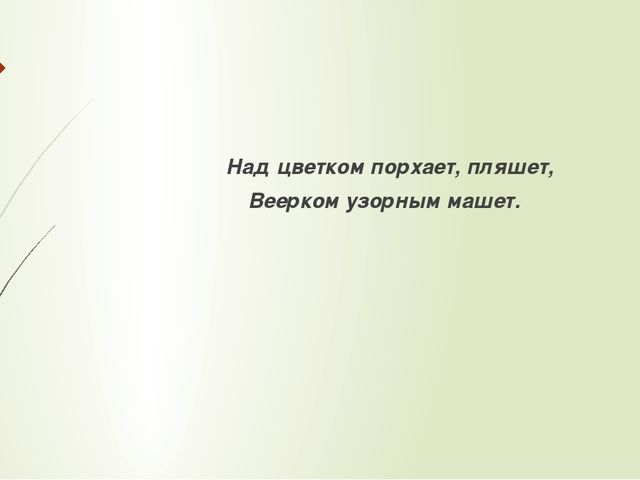Загадки к сказке В.Сутеева "Грибок-теремок".