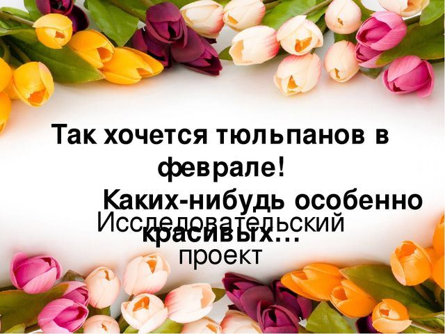Презентация проекта по окружающему миру