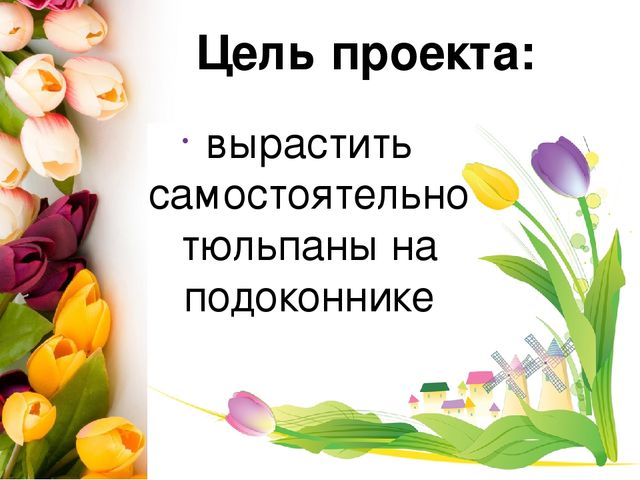Презентация проекта по окружающему миру