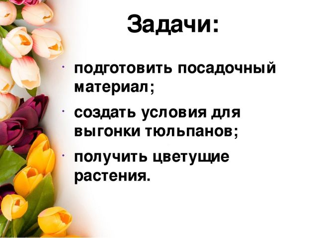 Презентация проекта по окружающему миру