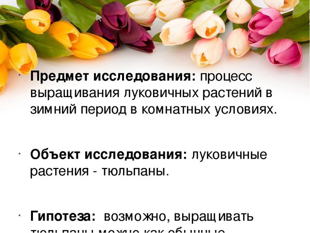 Презентация проекта по окружающему миру